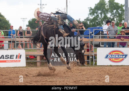 Cowboy professionisti competere in sella bronc porzione del 2018 Ram Rodeo Tour a Exeter, Ontario, Canada. Foto Stock