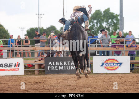 Cowboy professionisti competere in sella bronc porzione del 2018 Ram Rodeo Tour a Exeter, Ontario, Canada. Foto Stock