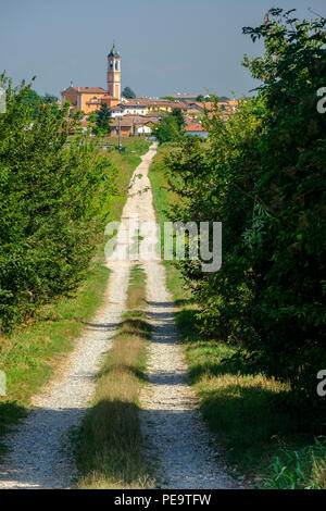 Paesaggio rurale lungo il Po percorso ciclabile vicino a Orio Litta (Lodi, Lombardia, Italia) in estate Foto Stock