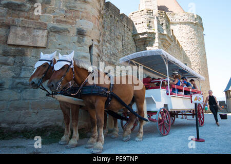 I turisti su una carrozza con cavalli tour in Carcassonne, Francia. Foto Stock