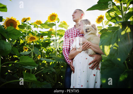 Incinta giovane con cane nel campo di girasoli. Momenti felici di gravidanza. Foto Stock