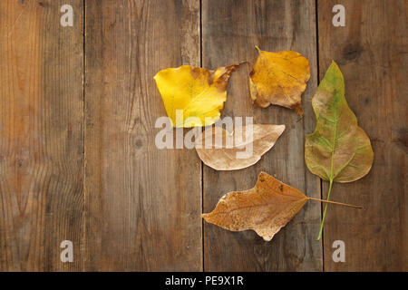 Top visualizza immagine di foglie di autunno in legno sfondo testurizzata Foto Stock