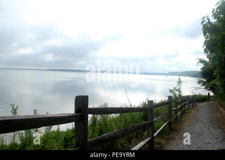 Vista sul fiume James presso il Chippokes Plantation state Park, Virginia, USA Foto Stock