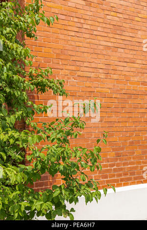 Facciata in mattoni di una ristrutturazione di un edificio industriale Foto Stock