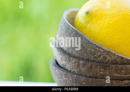 Mature limone giallo nel guscio di noce di cocco ciotola sul fogliame verde dello sfondo. Cosmetici biologici su uno stile di vita sano detox benessere oli essenziali del concetto. Poster Foto Stock