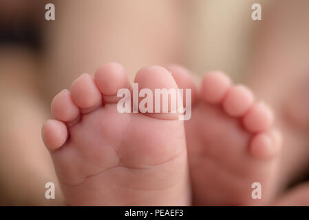 I piedi di un neonato nelle mani dei genitori. La famiglia felice oncept. Mamma e papà abbraccio il loro bambino per le gambe. Foto Stock