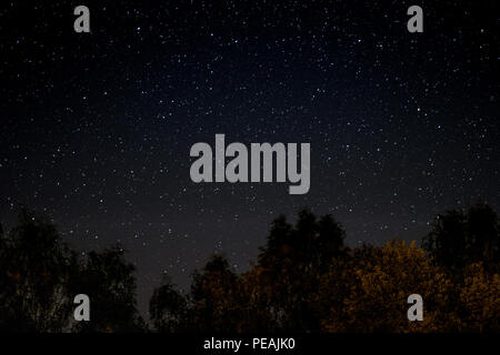 Cielo stellato di notte - alberi e stelle - Foto Stock