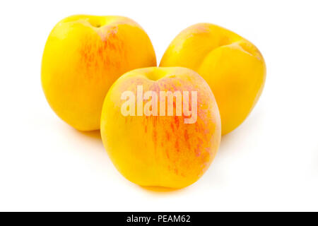 Pesche gialle su sfondo bianco Foto Stock
