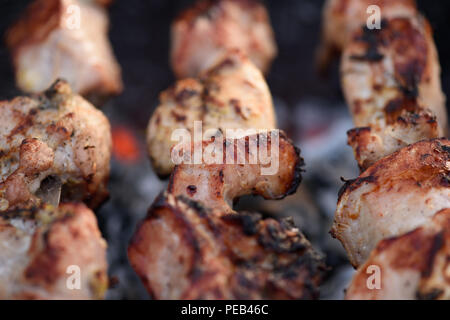 Close up di maiale (kebab spiedini) su spiedini alla griglia Foto Stock