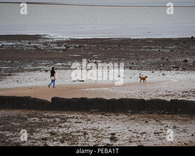 Sheerness, Kent, Regno Unito. 14 Ago, 2018. Regno Unito Meteo: un mattino nuvoloso in Sheerness, Kent. Credito: James Bell/Alamy Live News Foto Stock