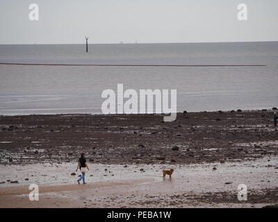 Sheerness, Kent, Regno Unito. 14 Ago, 2018. Regno Unito Meteo: un mattino nuvoloso in Sheerness, Kent. Credito: James Bell/Alamy Live News Foto Stock
