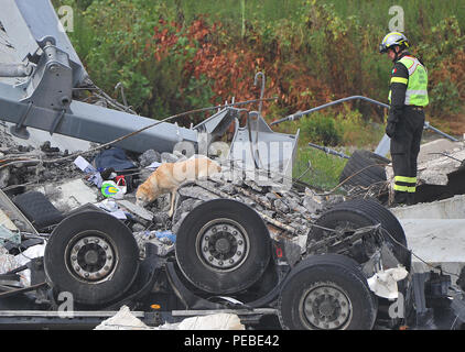 Genova, Italia. 14 ago 2018. Genova, il ponte Morandi collassa Credit: Indipendente Photo Agency Srl/Alamy Live News Foto Stock