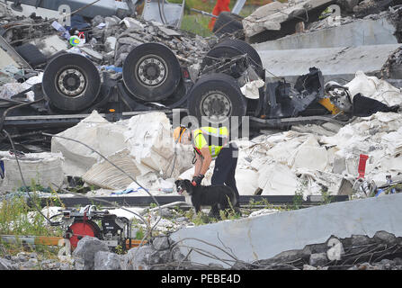 Genova, Italia. 14 ago 2018. Genova, il ponte Morandi collassa Credit: Indipendente Photo Agency Srl/Alamy Live News Foto Stock