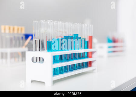 Ordine in laboratorio. Provette in vetro che soggiornano in stand che posto sulla superficie Foto Stock