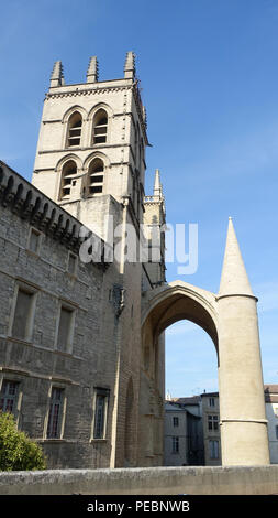 Cathédrale Saint-Pierre in Montpellier, Languedoc-Roussillon, Francia Foto Stock