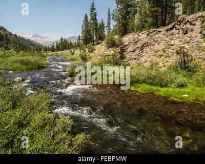 Lee vining creek da bisaccia lago, lee vining ca Foto Stock