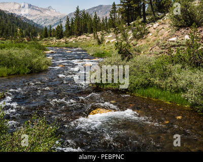 Lee vining creek da bisaccia lago, lee vining ca Foto Stock