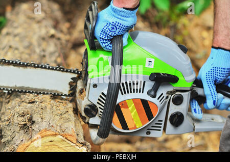 Foto di uomini le mani in guanti che lavorare su una motosega su una struttura ad albero Foto Stock