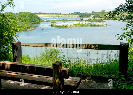 I fiori bianchi primaverili della distanza nel collegio di Lago in Tring, Buckinghamshire Foto Stock