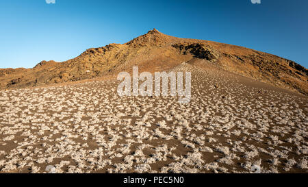 Bartolomé Island, Galápagos Foto Stock