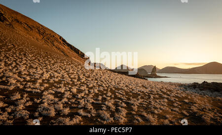 Bartolomé Island, Galápagos Foto Stock