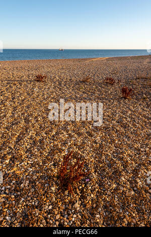 Sud Lancing è una spiaggia di ciottoli tra Shoreham-da-mare e Worthing Foto Stock