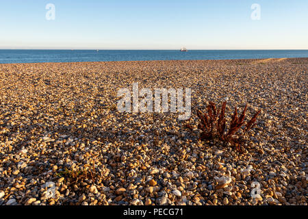 Sud Lancing è una spiaggia di ciottoli tra Shoreham-da-mare e Worthing Foto Stock