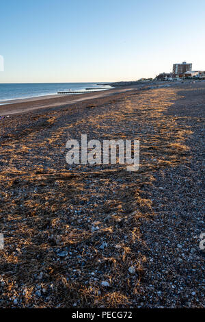 Sud Lancing è una spiaggia di ciottoli tra Shoreham-da-mare e Worthing Foto Stock