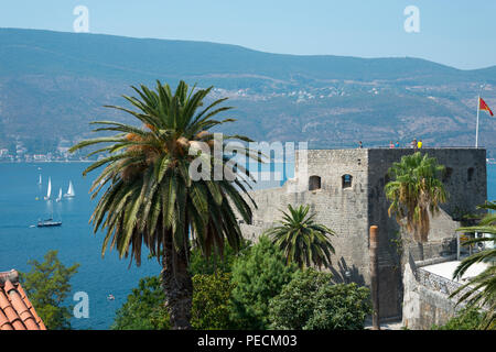 Forte Mare, città vecchia, Herceg Novi, Baia di Kotor, Montenegro Foto Stock