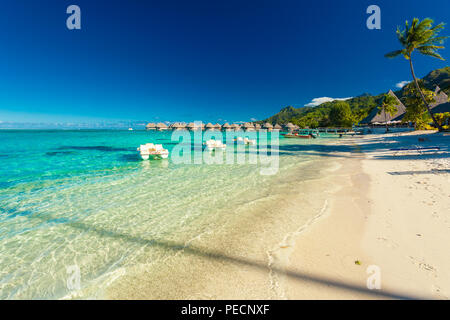 Resort tropicale con spiaggia di sabbia e palme di Moorea, Polinesia Francese Foto Stock