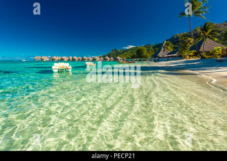 Resort tropicale con spiaggia di sabbia e palme di Moorea, Polinesia Francese Foto Stock