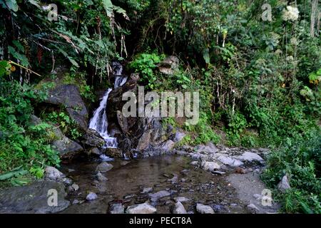 Cascata in LA ZUNGA - Ecuador confine -San Ignacio- Dipartimento di Cajamarca .PERÙ Foto Stock