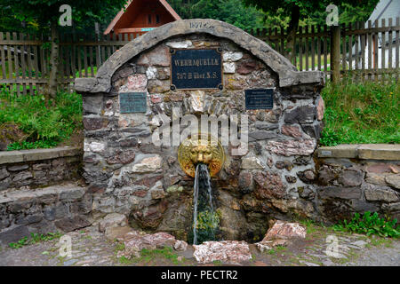 Werra sorgente, Masserberg, Foresta Turingia, Turingia, Germania Foto Stock