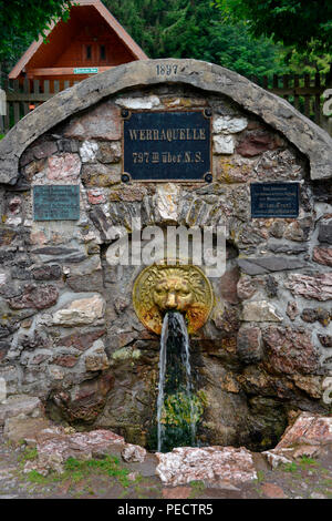 Werra sorgente, Masserberg, Foresta Turingia, Turingia, Germania Foto Stock