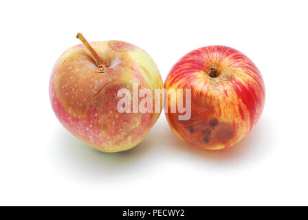 Due mele marce isolato su bianco Foto Stock