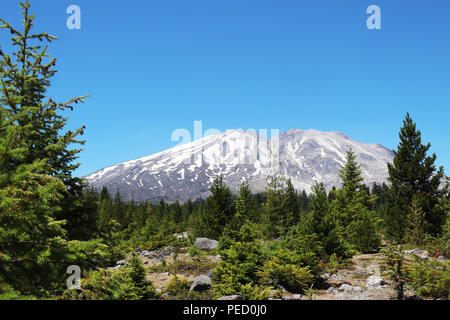 Il Monte Sant Helens National Volcanic Monument Foto Stock