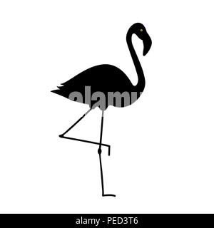 Flamingo silhouette isolati su sfondo bianco illustrazione vettoriale EPS10 Illustrazione Vettoriale