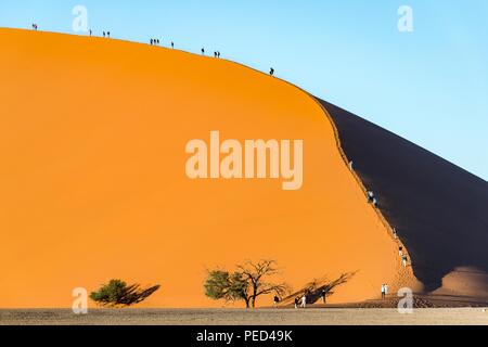 Sossusvlei (a volte scritto Sossus Vlei) è un sale e pan di argilla circondata da alte dune rosse, situata nella parte meridionale del deserto del Namib, in t Foto Stock
