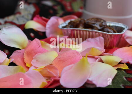 Caffè arabo con date nel coperchio di fiori Foto Stock