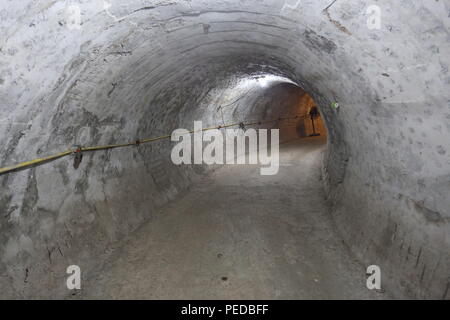 Nella motivazione del drago tempio sono altri luoghi sacri tra cui un tempio di tartaruga. Foto Stock