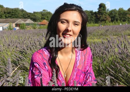 Mayfield lavanda 2018 Foto Stock