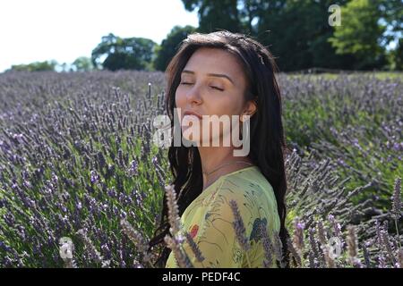 Mayfield lavanda 2018 Foto Stock