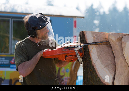 OLDENZAAL PAESI BASSI - Aprile 9, 2017: primo piano di un taglialegna in azione durante una dimostrazione di Jigsaw Foto Stock