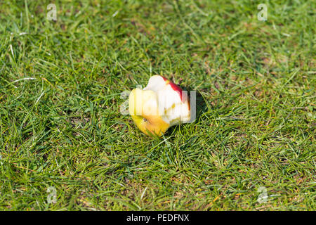 Gettate mangiato apple core sull'erba Foto Stock