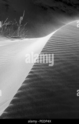 Il vento soffia attraverso le sabbie di Elim Dune nel deserto del Namib, Namibia Foto Stock