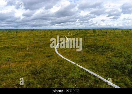 Misty bog paesaggio con Viru Raba moor al mattino. Lahemaa parco nazionale in Estonia. Foto scattata in Estonia. Foto Stock