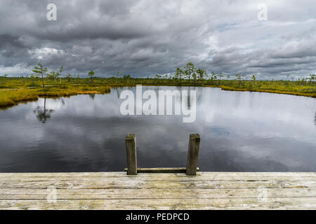 Misty bog paesaggio con Viru Raba moor al mattino. Lahemaa parco nazionale in Estonia. Foto scattata in Estonia. Foto Stock