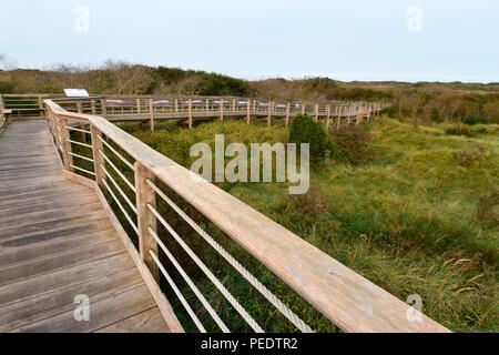 Otto Leege percorso didattico, Juist, nel Parco Nazionale del Mare di Wadden, Bassa Sassonia, Est isola frisone, Germania Foto Stock