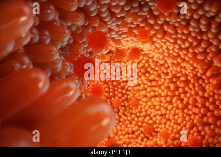 3D illustrazione dei villi intestinali. Rivestimento dell'intestino. Capillare microscopici. Intestino umano. Concetto di un sano o malato. intestinale Virus, bact Foto Stock