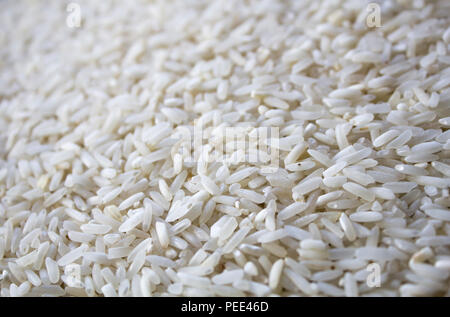 Riso bianco; riso semole; chicchi di riso sfondo Foto Stock